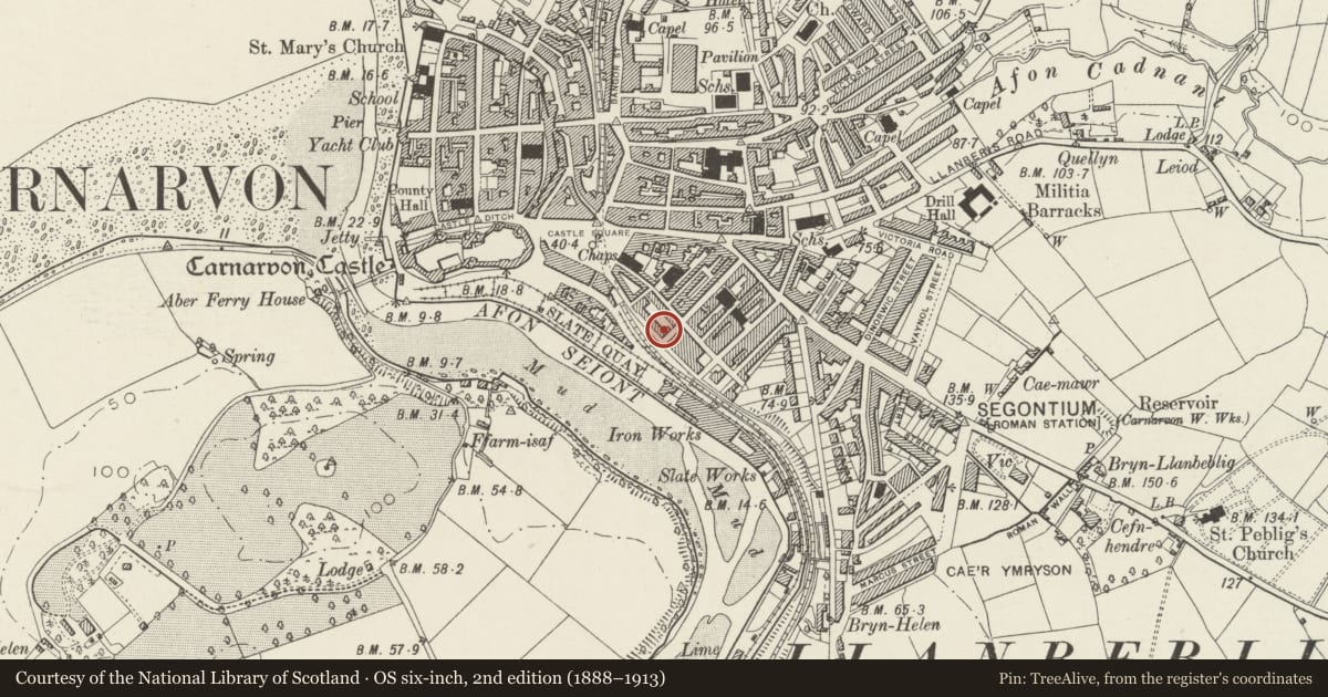 Ordnance Survey six-inch map, 2nd edition (1888–1913) covering the location of 19 Segontium Terrace, including forecourt railings, Caernarfon, Gwynedd, with a pin at the register's coordinates