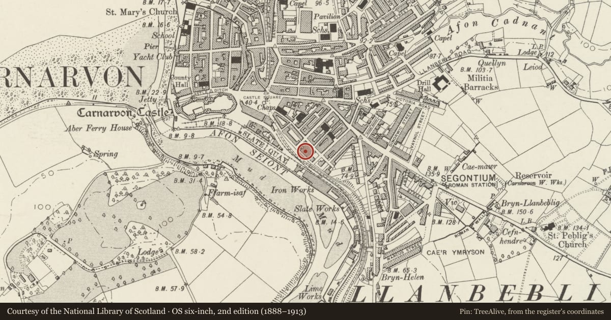 Ordnance Survey six-inch map, 2nd edition (1888–1913) covering the location of 22 Segontium Terrace, including forecourt railings, Caernarfon, Gwynedd, with a pin at the register's coordinates