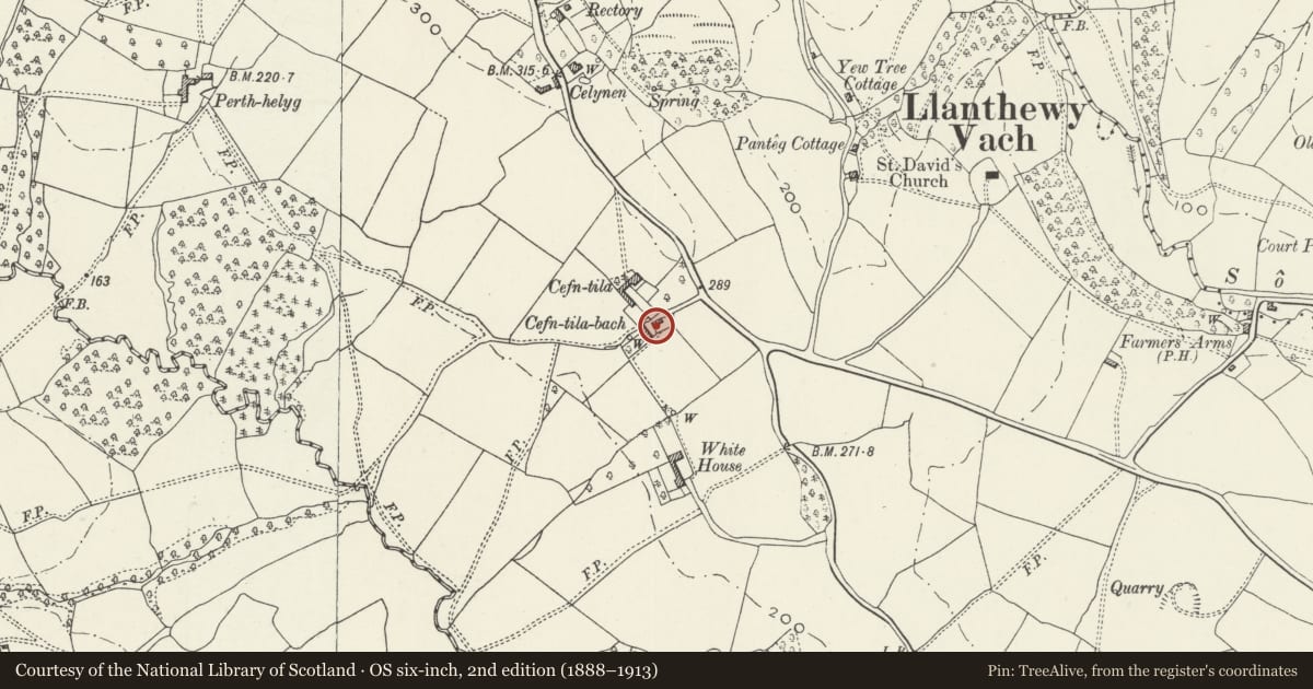 Ordnance Survey six-inch map, 2nd edition (1888–1913) covering the location of Cefn Tila Bach, Llangybi, Monmouthshire, with a pin at the register's coordinates