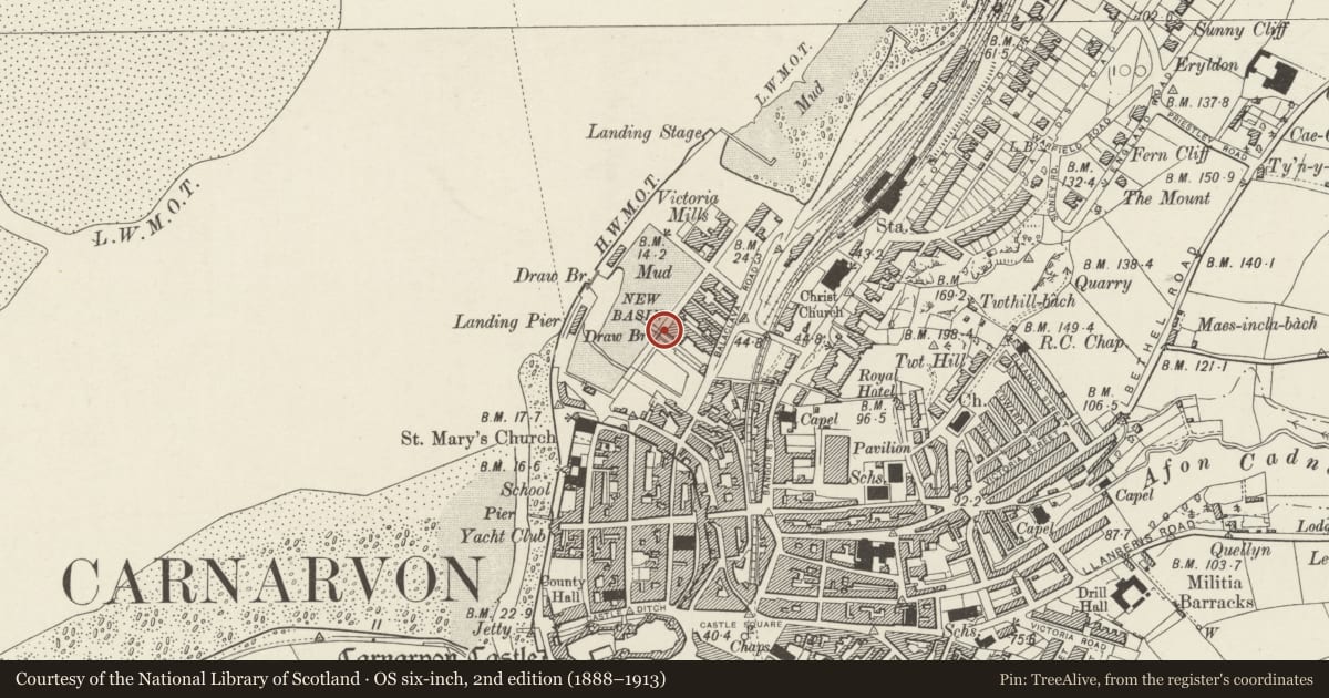 Ordnance Survey six-inch map, 2nd edition (1888–1913) covering the location of Drawbridge on S side of Victoria Dock, Caernarfon, Gwynedd, with a pin at the register's coordinates