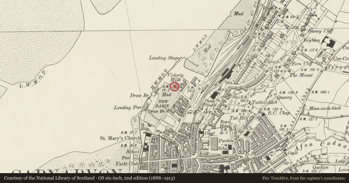 Ordnance Survey six-inch map, 2nd edition (1888–1913) covering the location of Crane at Victoria Dock, Caernarfon, Gwynedd, with a pin at the register's coordinates