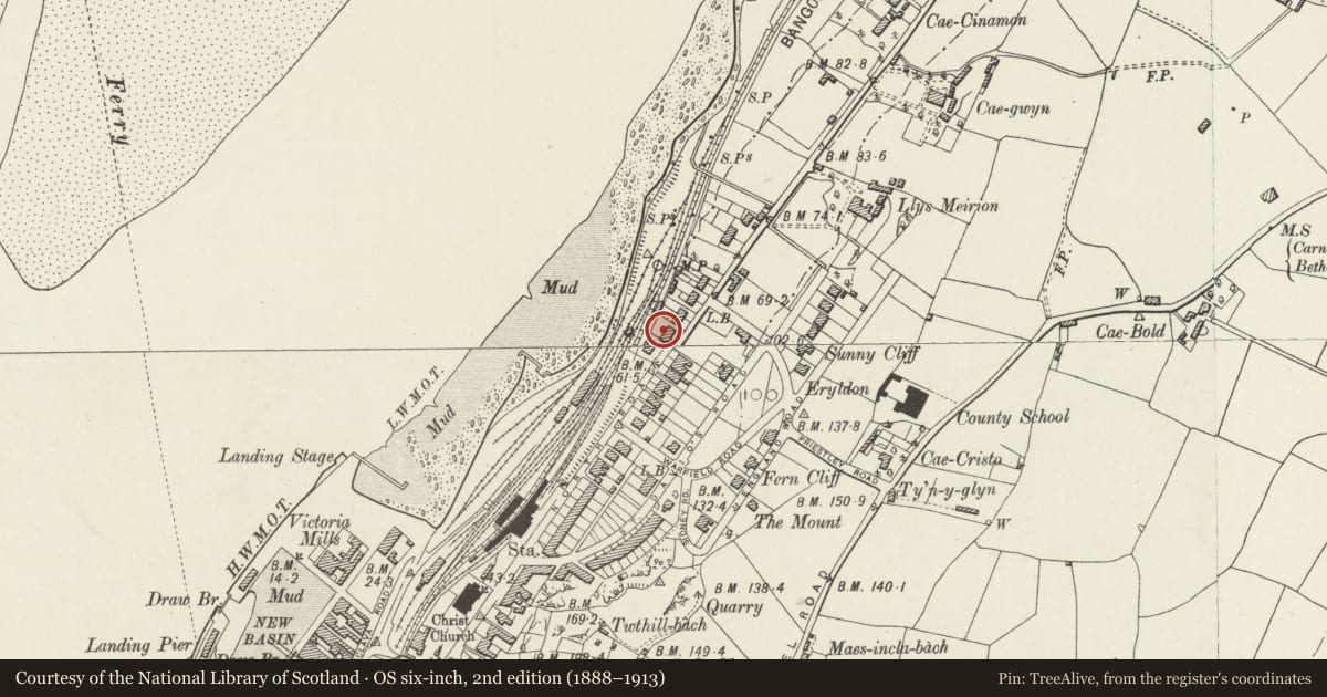 Ordnance Survey six-inch map, 2nd edition (1888–1913) covering the location of The Anchorage (also known as Ynys Tudur), Caernarfon, Gwynedd, with a pin at the register's coordinates