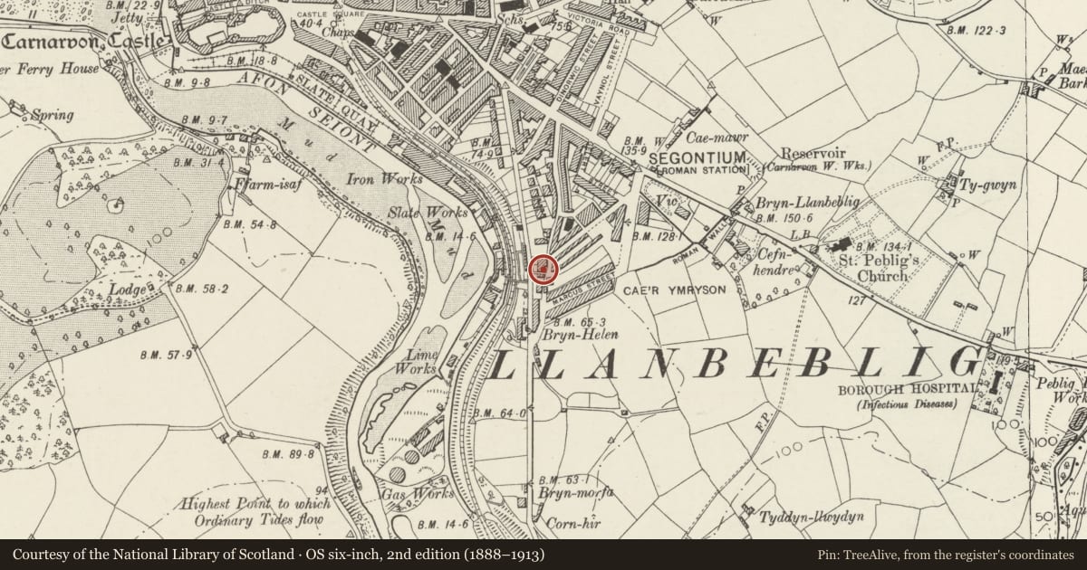 Ordnance Survey six-inch map, 2nd edition (1888–1913) covering the location of Bron Eifion, Caernarfon, Gwynedd, with a pin at the register's coordinates