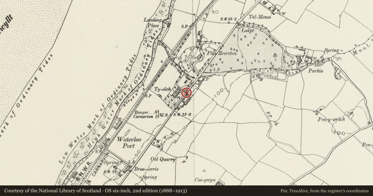 Ordnance Survey six-inch map, 2nd edition (1888–1913) covering the location of Tunnel beneath Bangor Road at Plas Ty Coch, Caernarfon, Gwynedd, with a pin at the register's coordinates