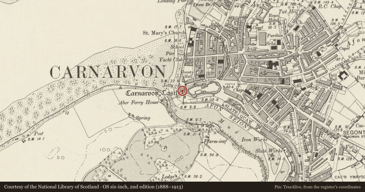 Ordnance Survey six-inch map, 2nd edition (1888–1913) covering the location of Quay walls at Slate Quay, Caernarfon, Gwynedd, with a pin at the register's coordinates