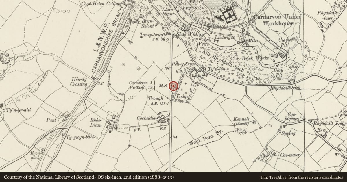 Ordnance Survey six-inch map, 2nd edition (1888–1913) covering the location of Milestone on E side of A487, Caernarfon, Gwynedd, with a pin at the register's coordinates