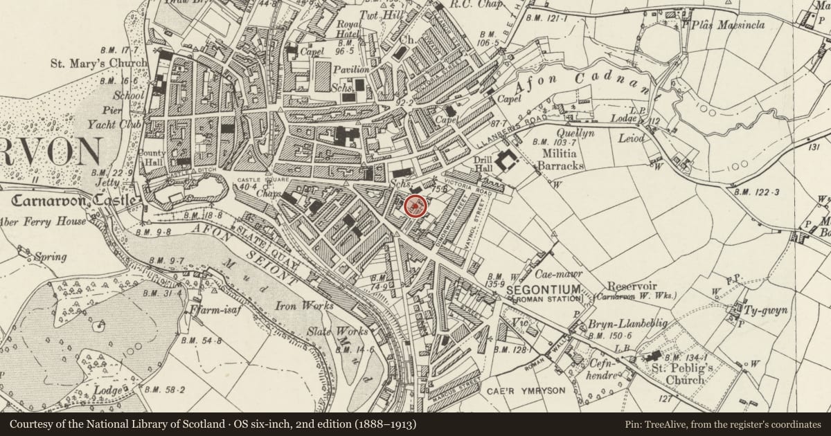 Ordnance Survey six-inch map, 2nd edition (1888–1913) covering the location of Tanycoed, Caernarfon, Gwynedd, with a pin at the register's coordinates