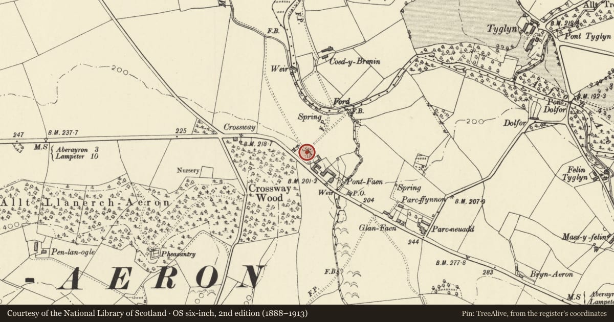 Ordnance Survey six-inch map, 2nd edition (1888–1913) covering the location of Gamekeeper's Cottage, Ciliau Aeron, Ceredigion, with a pin at the register's coordinates