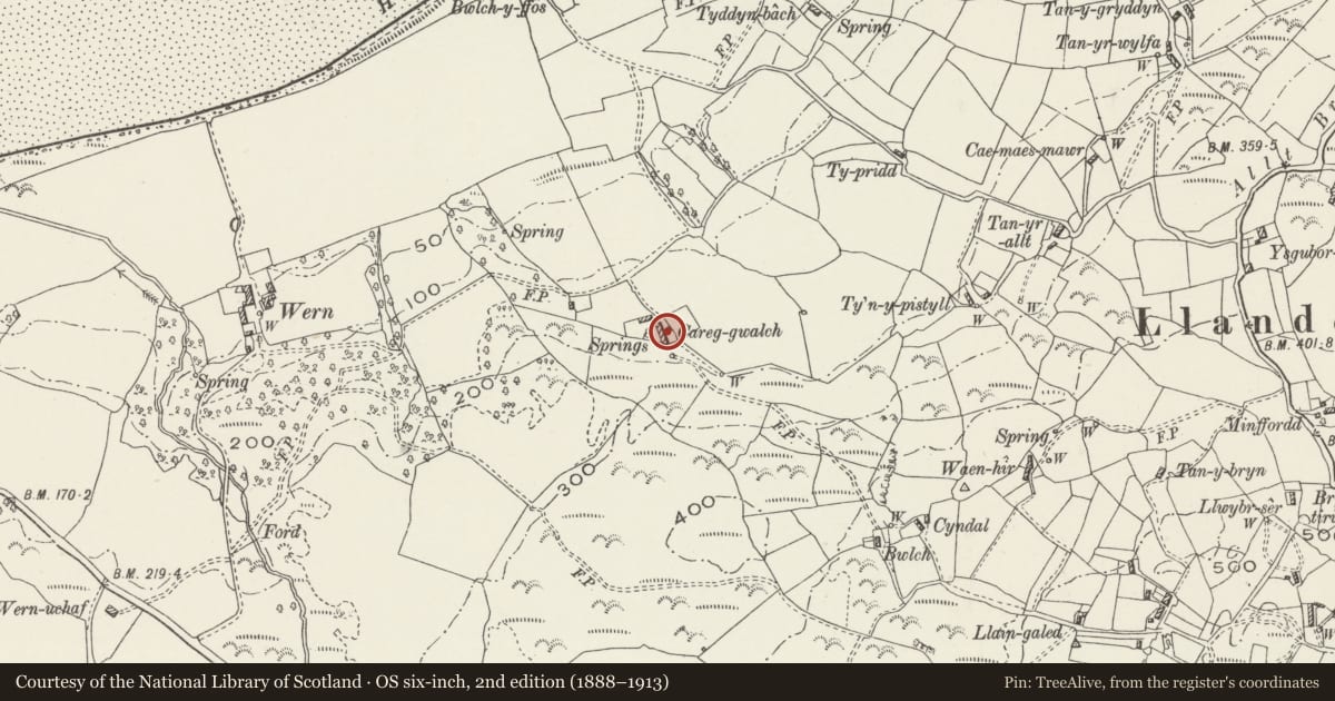 Ordnance Survey six-inch map, 2nd edition (1888–1913) covering the location of Tan Rallt Wen, Llanddona, Isle of Anglesey, with a pin at the register's coordinates