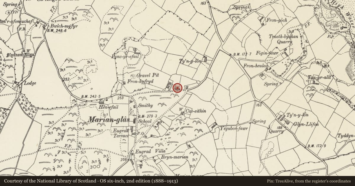 Ordnance Survey six-inch map, 2nd edition (1888–1913) covering the location of Bryn Moel, Llaneugrad, Isle of Anglesey, with a pin at the register's coordinates