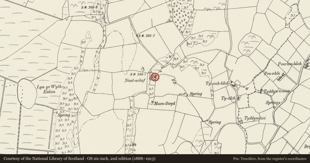 Ordnance Survey six-inch map, 2nd edition (1888–1913) covering the location of Nant Uchaf, Llaneugrad, Isle of Anglesey, with a pin at the register's coordinates