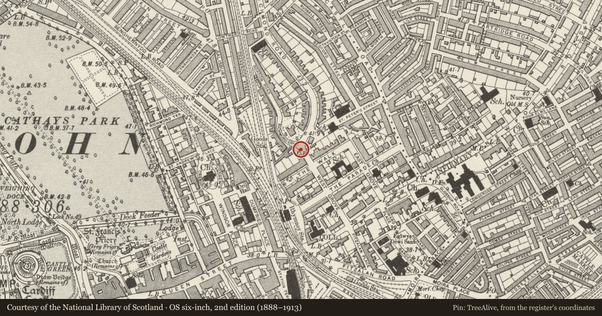 Ordnance Survey six-inch map, 2nd edition (1888–1913) covering the location of Pillar Box in West Grove, Roath, Cardiff, with a pin at the register's coordinates