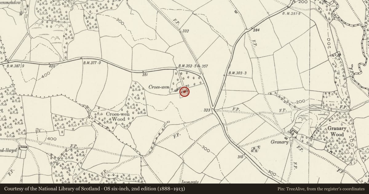 Ordnance Survey six-inch map, 2nd edition (1888–1913) covering the location of Croeswen Farmhouse, Llangybi, Monmouthshire, with a pin at the register's coordinates