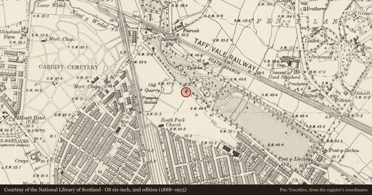 Ordnance Survey six-inch map, 2nd edition (1888–1913) covering the location of Pillar Box outside 81 Ninian Road, Roath, Cardiff, with a pin at the register's coordinates