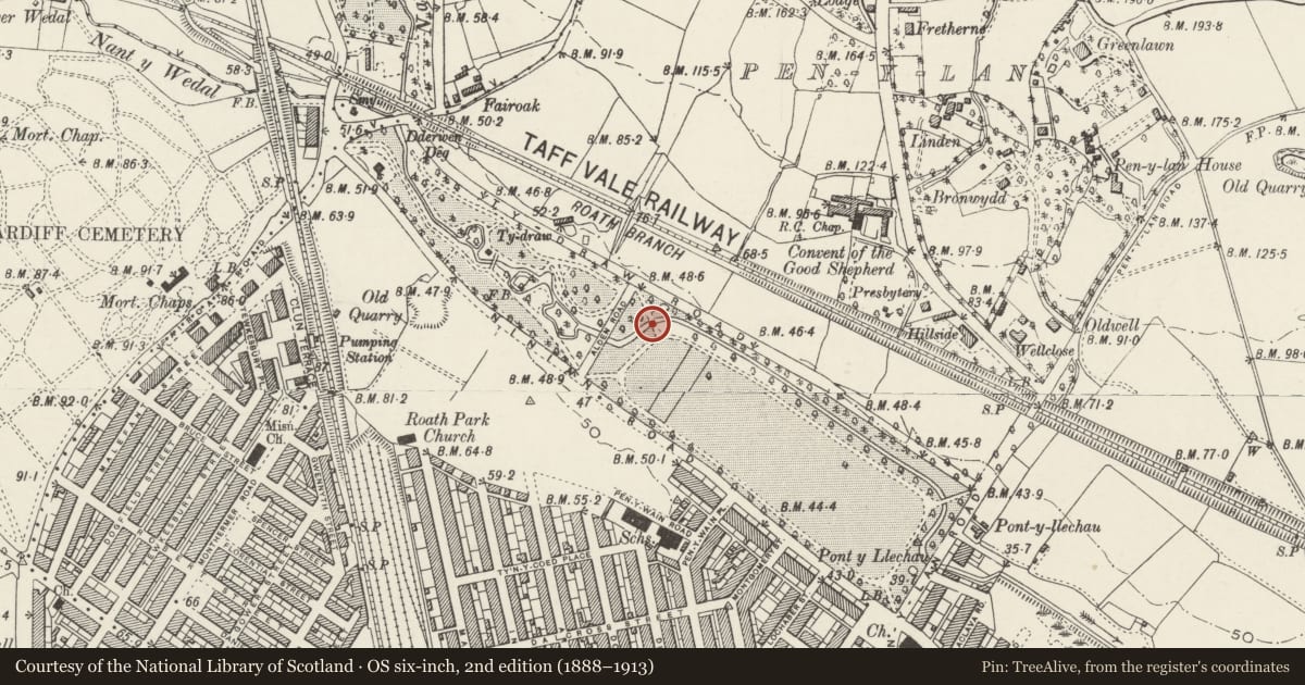 Ordnance Survey six-inch map, 2nd edition (1888–1913) covering the location of Bridge over Roath brook in Roath Park Recreation Ground, Cardiff, with a pin at the register's coordinates
