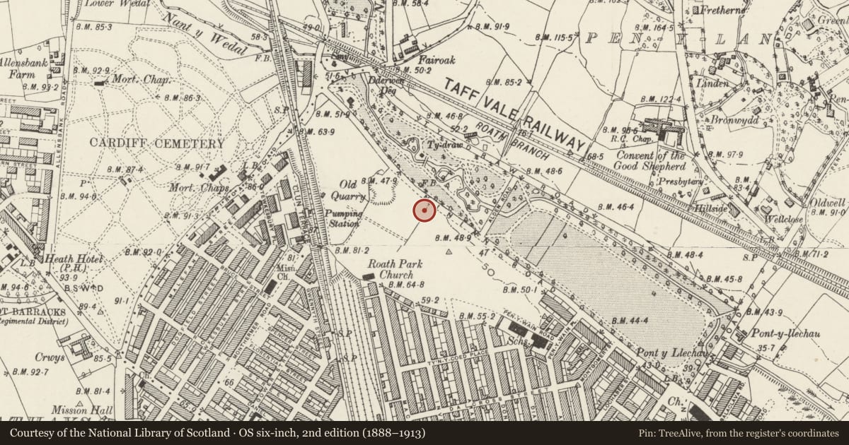 Ordnance Survey six-inch map, 2nd edition (1888–1913) covering the location of 80 Ninian Road, Roath, Cardiff, with a pin at the register's coordinates
