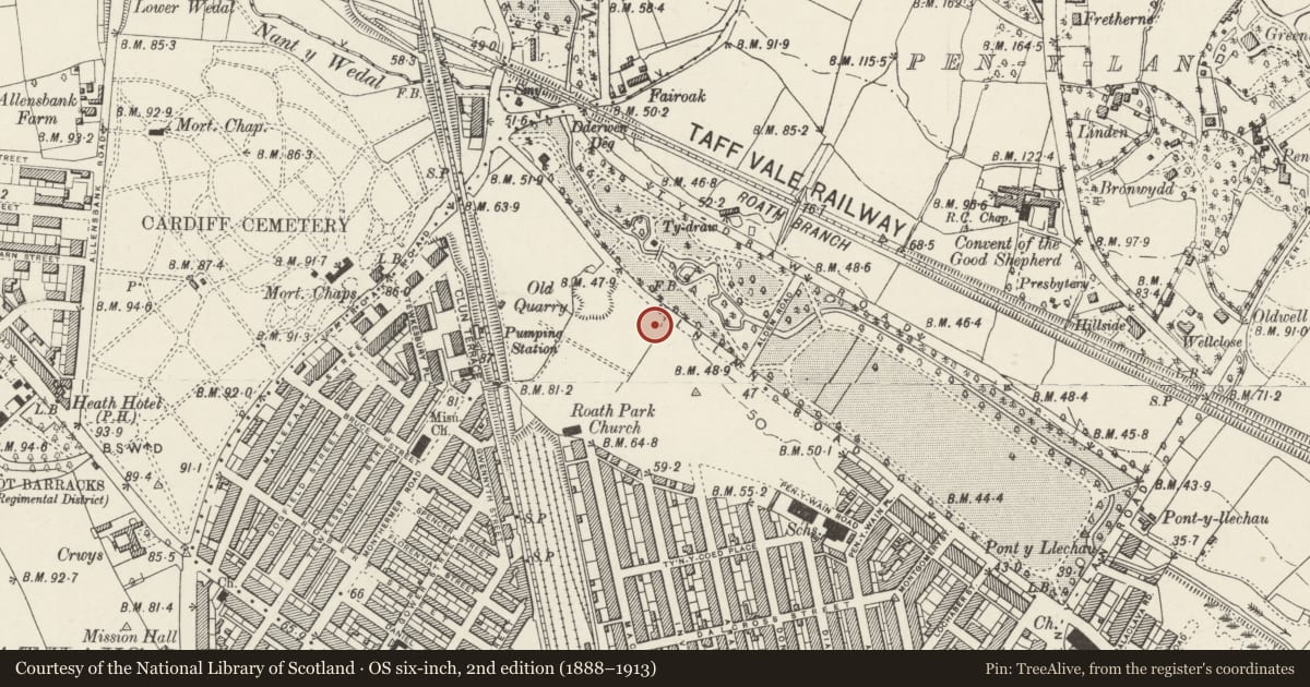 Ordnance Survey six-inch map, 2nd edition (1888–1913) covering the location of 81 Ninian Road, Roath, Cardiff, with a pin at the register's coordinates