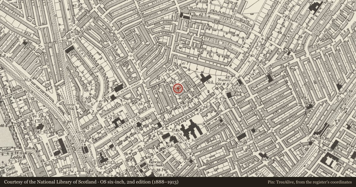 Ordnance Survey six-inch map, 2nd edition (1888–1913) covering the location of 5 Woodland Place, Roath, Cardiff, with a pin at the register's coordinates