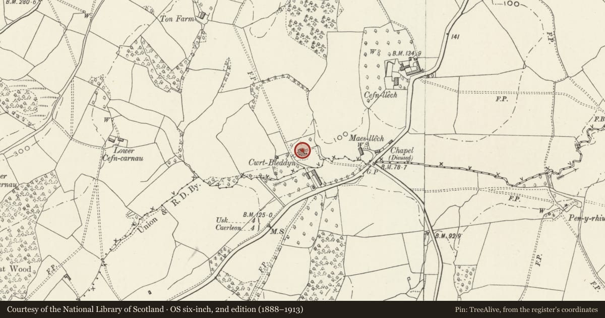 Ordnance Survey six-inch map, 2nd edition (1888–1913) covering the location of Cwrt Bleddyn, Llangybi, Monmouthshire, with a pin at the register's coordinates