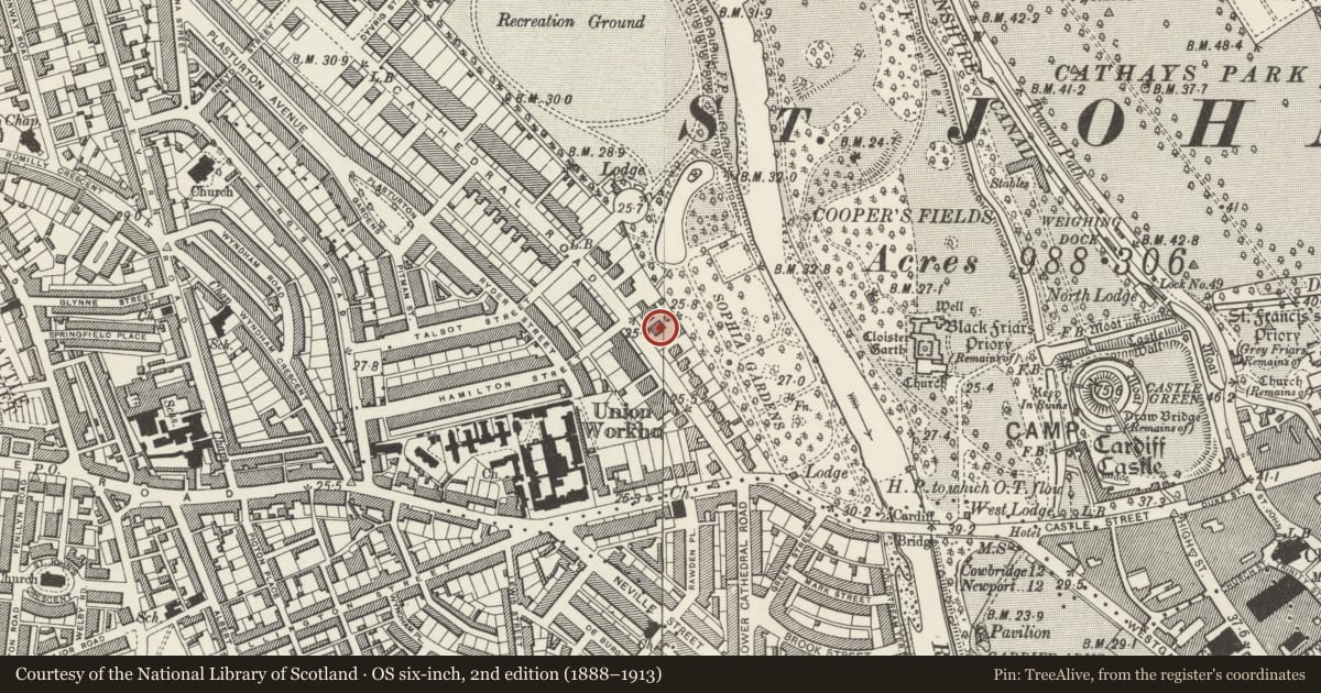Ordnance Survey six-inch map, 2nd edition (1888–1913) covering the location of 20 Cathedral Road, Pontcanna, Cardiff, with a pin at the register's coordinates
