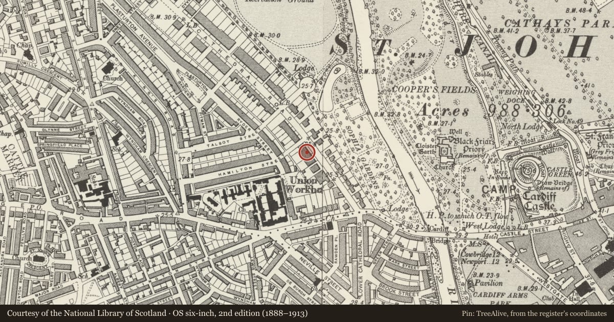 Ordnance Survey six-inch map, 2nd edition (1888–1913) covering the location of 25 Cathedral Road, Pontcanna, Cardiff, with a pin at the register's coordinates