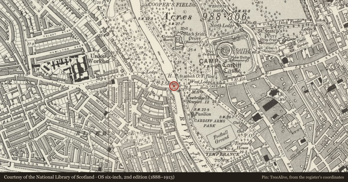 Ordnance Survey six-inch map, 2nd edition (1888–1913) covering the location of Cardiff Bridge, Riverside, Cardiff, with a pin at the register's coordinates