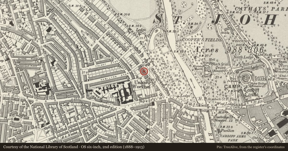 Ordnance Survey six-inch map, 2nd edition (1888–1913) covering the location of 21 Cathedral Road, Pontcanna, Cardiff, with a pin at the register's coordinates