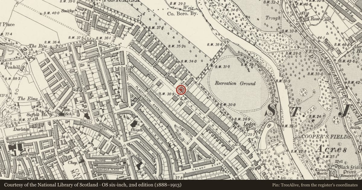 Ordnance Survey six-inch map, 2nd edition (1888–1913) covering the location of 114 Cathedral Road, Pontcanna, Cardiff, with a pin at the register's coordinates