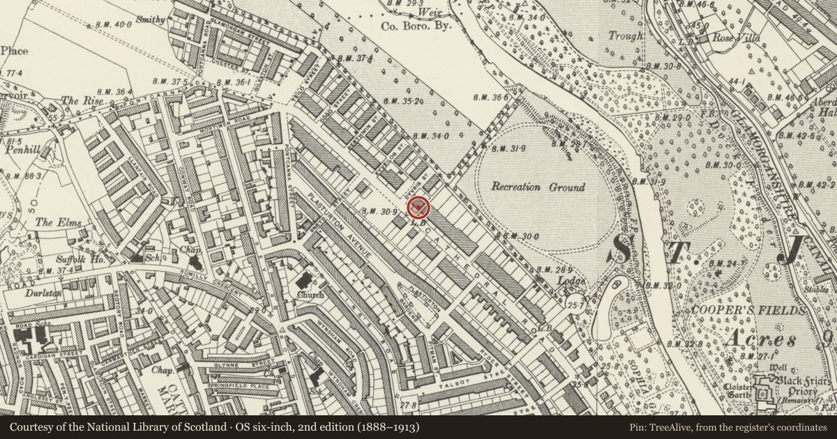 Ordnance Survey six-inch map, 2nd edition (1888–1913) covering the location of 110 Cathedral Road, Pontcanna, Cardiff, with a pin at the register's coordinates
