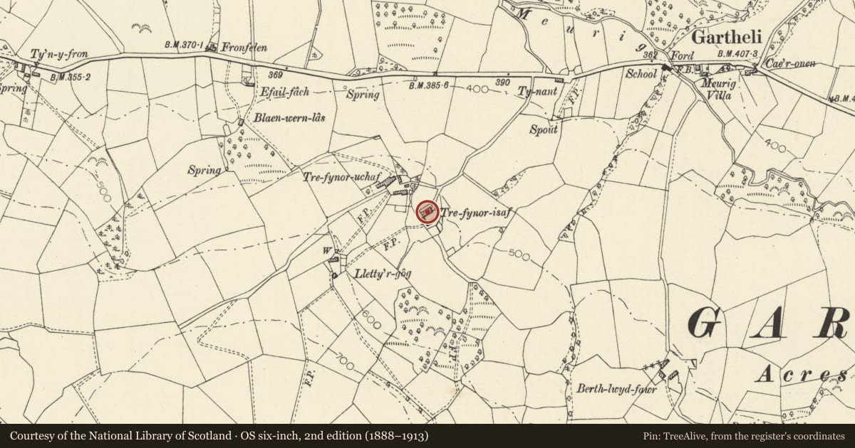 Ordnance Survey six-inch map, 2nd edition (1888–1913) covering the location of Outbuilding range at Trefynor-Isaf, Nantcwnlle, Ceredigion, with a pin at the register's coordinates