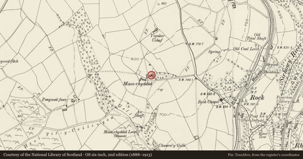 Ordnance Survey six-inch map, 2nd edition (1888–1913) covering the location of Maes Manor Hotel, Blackwood, Caerphilly, with a pin at the register's coordinates