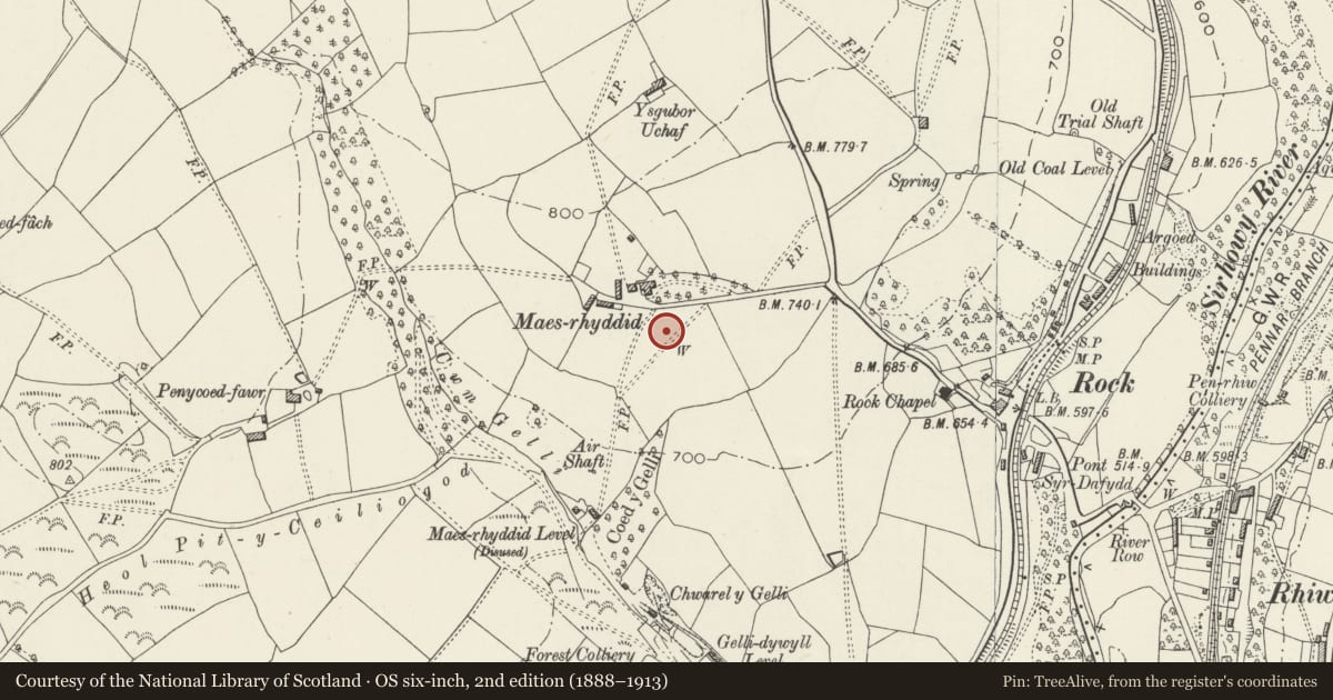 Ordnance Survey six-inch map, 2nd edition (1888–1913) covering the location of Upper terrace revetment and steps in garden to S of Maes Manor, Blackwood, Caerphilly, with a pin at the register's coordinates