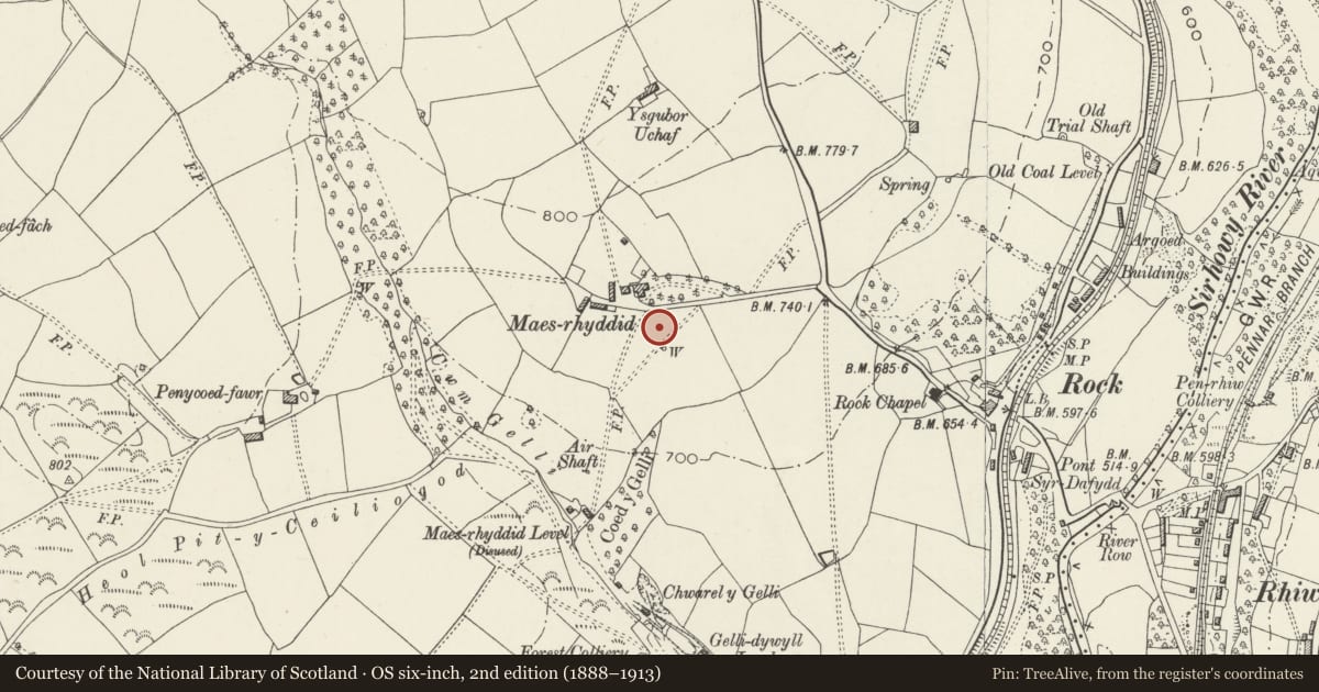 Ordnance Survey six-inch map, 2nd edition (1888–1913) covering the location of Lower terrace revetment and gates in garden to S of Maes Manor, Blackwood, Caerphilly, with a pin at the register's coordinates