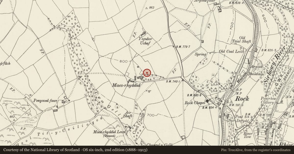 Ordnance Survey six-inch map, 2nd edition (1888–1913) covering the location of Gate piers and flanking walls to forecourt of Maes Manor, Blackwood, Caerphilly, with a pin at the register's coordinates