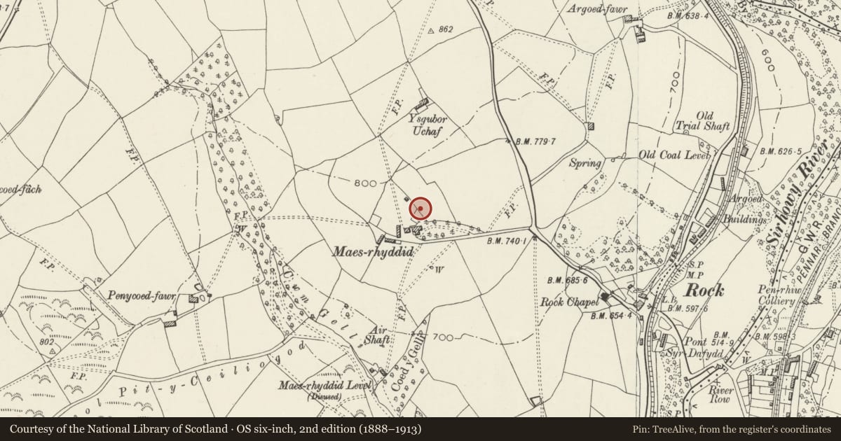 Ordnance Survey six-inch map, 2nd edition (1888–1913) covering the location of Kitchen garden walls, pavilion and terrace at Maes Manor, Blackwood, Caerphilly, with a pin at the register's coordinates