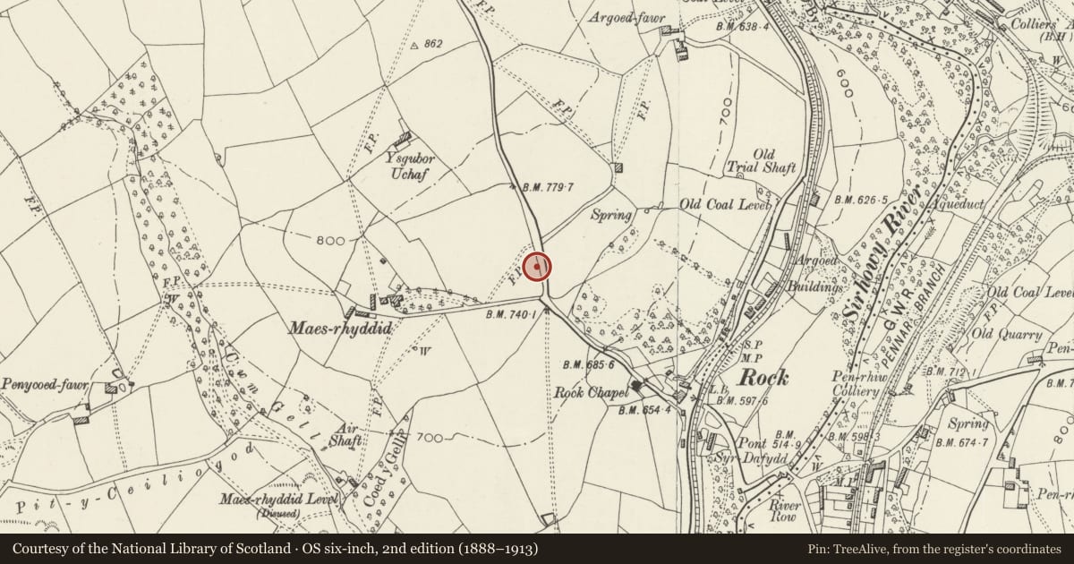 Ordnance Survey six-inch map, 2nd edition (1888–1913) covering the location of Gate piers with flanking doorways and walls at entrance to Maes Manor, Blackwood, Caerphilly, with a pin at the register's coordinates