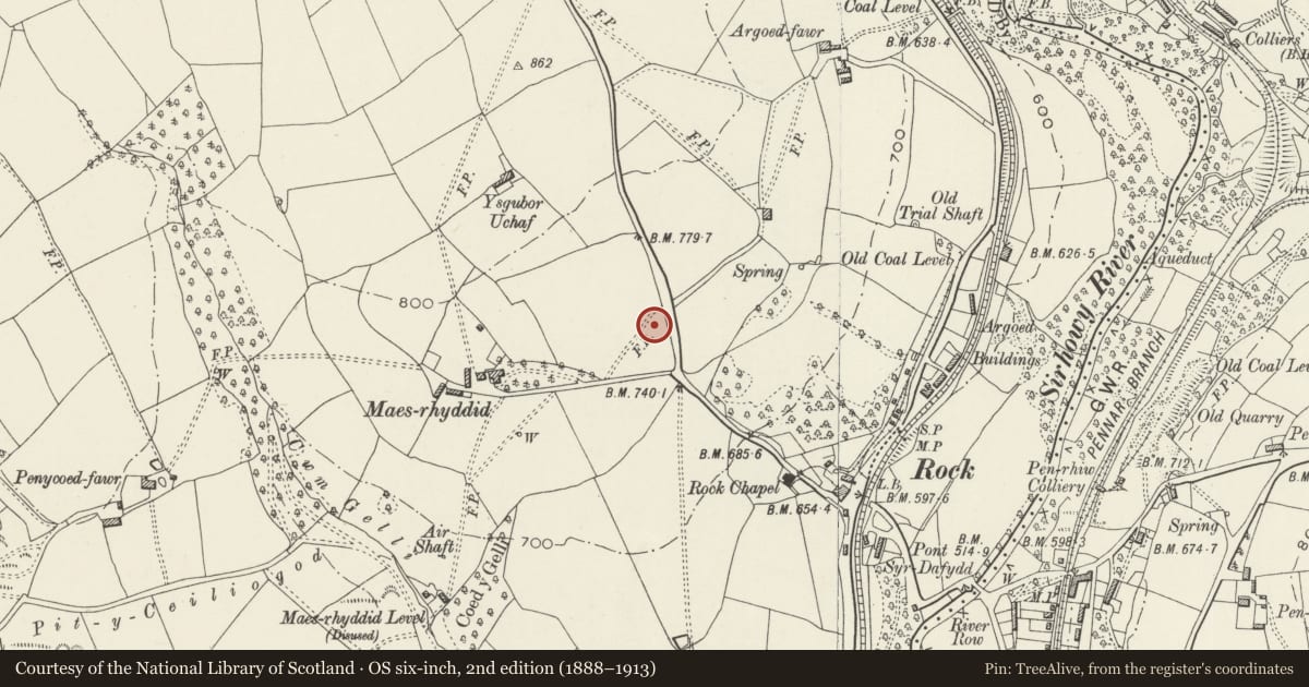 Ordnance Survey six-inch map, 2nd edition (1888–1913) covering the location of North Lodge, Blackwood, Caerphilly, with a pin at the register's coordinates