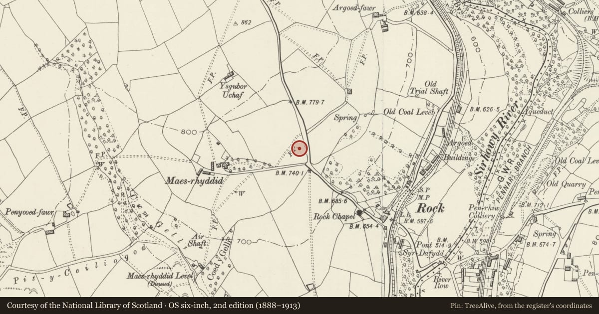 Ordnance Survey six-inch map, 2nd edition (1888–1913) covering the location of South Lodge, Blackwood, Caerphilly, with a pin at the register's coordinates