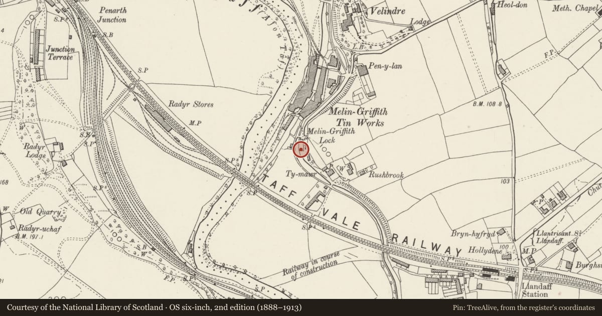 Ordnance Survey six-inch map, 2nd edition (1888–1913) covering the location of Garden Wall, Privy and Gatepiers of Oak Cottage, Whitchurch, Cardiff, with a pin at the register's coordinates