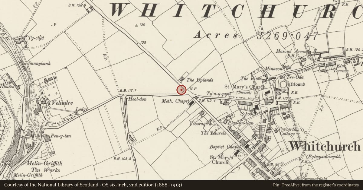 Ordnance Survey six-inch map, 2nd edition (1888–1913) covering the location of Whitchurch War Memorial, Cardiff, with a pin at the register's coordinates