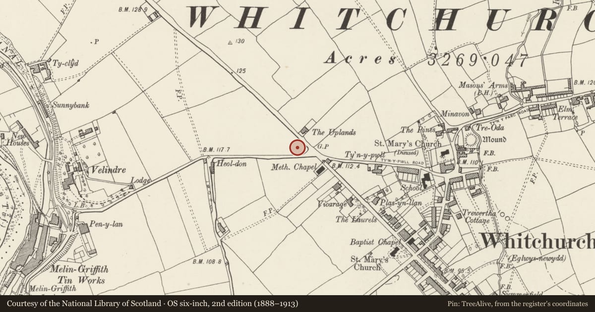 Ordnance Survey six-inch map, 2nd edition (1888–1913) covering the location of Whitchurch Free Library, Cardiff, with a pin at the register's coordinates