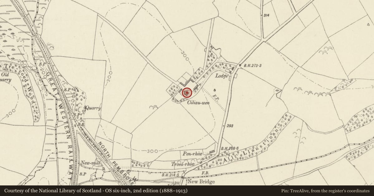 Ordnance Survey six-inch map, 2nd edition (1888–1913) covering the location of Ciliauwen, Scleddau, Pembrokeshire, with a pin at the register's coordinates