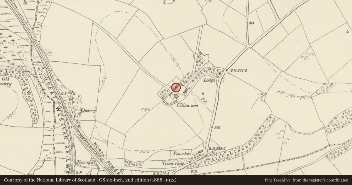 Ordnance Survey six-inch map, 2nd edition (1888–1913) covering the location of Range NW side of farmyard at Ciliauwen, Scleddau, Pembrokeshire, with a pin at the register's coordinates