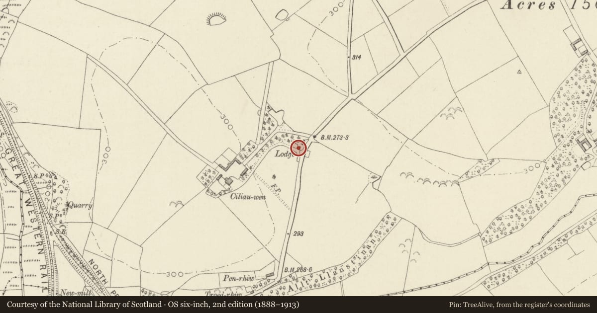 Ordnance Survey six-inch map, 2nd edition (1888–1913) covering the location of Ciliauwen Lodge, Scleddau, Pembrokeshire, with a pin at the register's coordinates