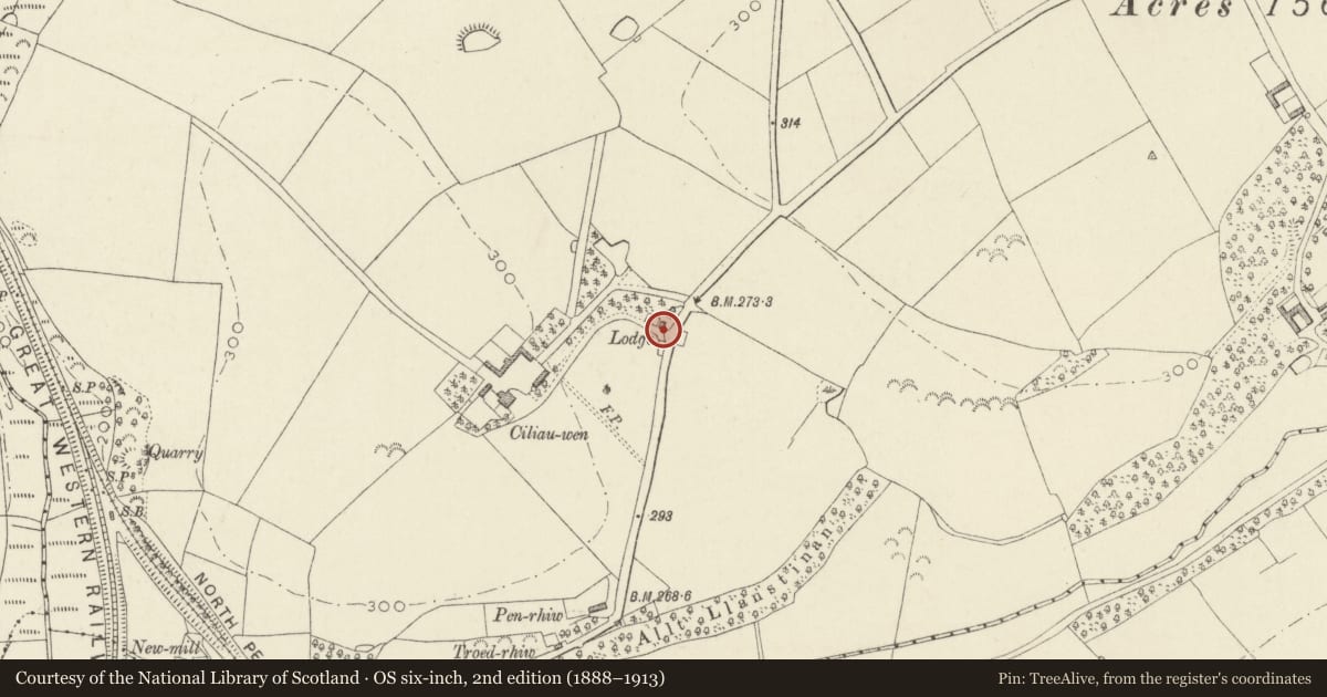 Ordnance Survey six-inch map, 2nd edition (1888–1913) covering the location of Gatepiers, walls and gates at Ciliauwen Lodge, Scleddau, Pembrokeshire, with a pin at the register's coordinates