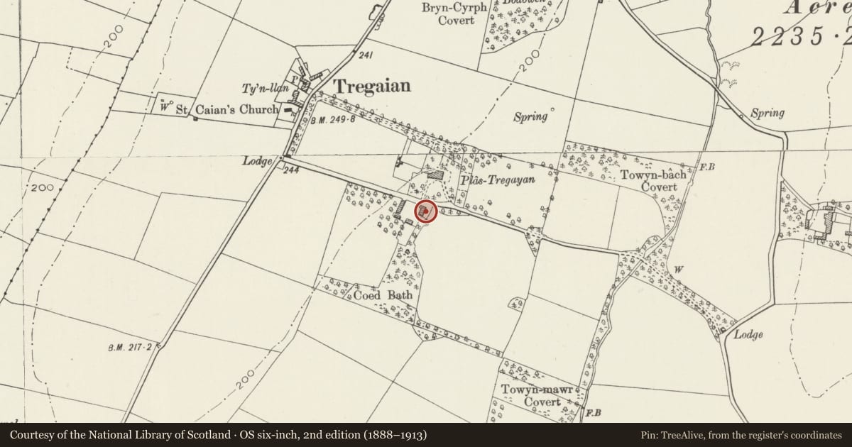 Ordnance Survey six-inch map, 2nd edition (1888–1913) covering the location of Garage/coach house range at Plas Tregayan, Llanddyfnan, Isle of Anglesey, with a pin at the register's coordinates
