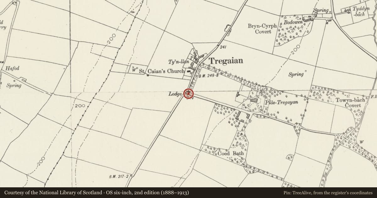 Ordnance Survey six-inch map, 2nd edition (1888–1913) covering the location of Gatepiers at Upper Lodge entrance to Plas Tregayan, Llanddyfnan, Isle of Anglesey, with a pin at the register's coordinates