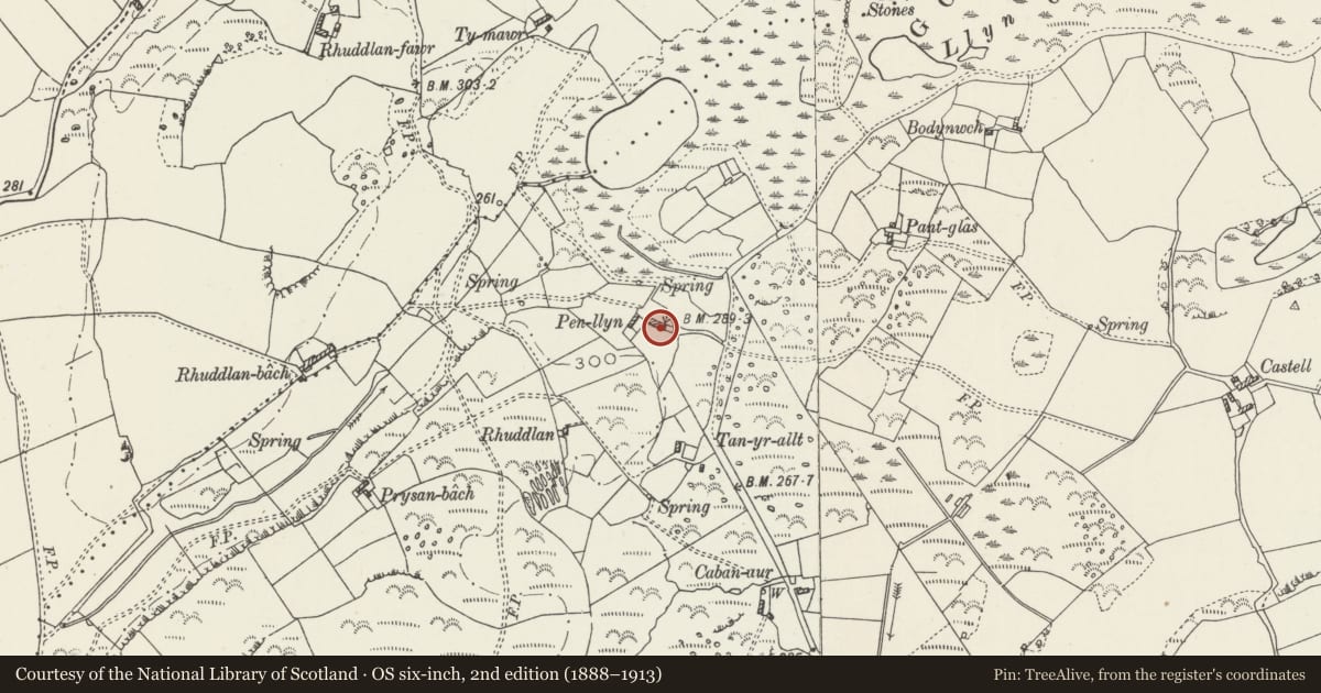 Ordnance Survey six-inch map, 2nd edition (1888–1913) covering the location of Penllyn, Llanddyfnan, Isle of Anglesey, with a pin at the register's coordinates