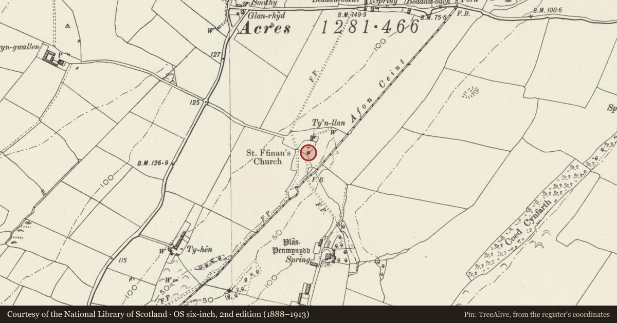 Ordnance Survey six-inch map, 2nd edition (1888–1913) covering the location of Sundial in churchyard of Church of St Ffinan, Llanddyfnan, Isle of Anglesey, with a pin at the register's coordinates