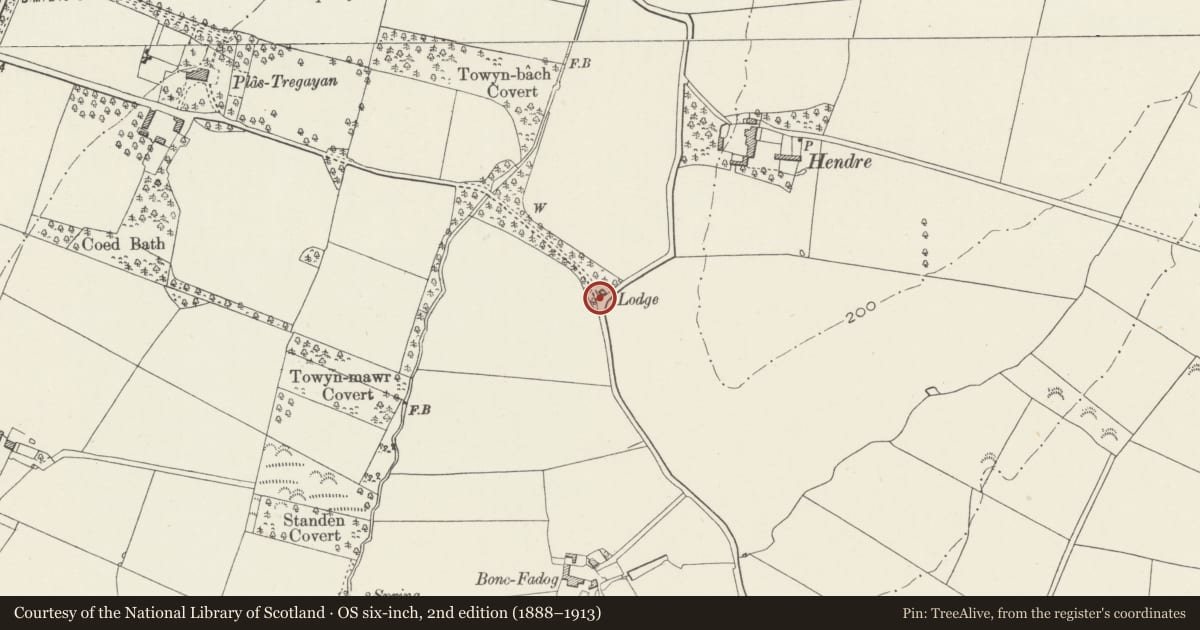 Ordnance Survey six-inch map, 2nd edition (1888–1913) covering the location of Gatepiers at Lower Lodge entrance to Plas Tregayan, Llanddyfnan, Isle of Anglesey, with a pin at the register's coordinates